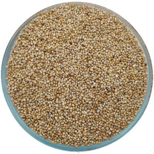 Thamarai Country Pearl Millet - 500gm - Image 1