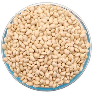 Thamarai Broad Beans - 500gm - Image 1