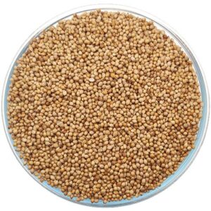 Thamarai Country Coriander Seeds