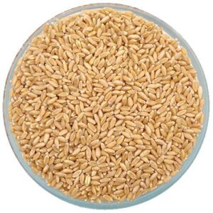 Thamarai Punjabi Wheat - 500gm - Image 1