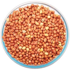 Thamarai Fried Groundnut - 250gm - Image 1